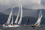 halley 2932c mystic sun gbr7092t circe 3464y green hackle 316c whyw25 sun 750_3592
